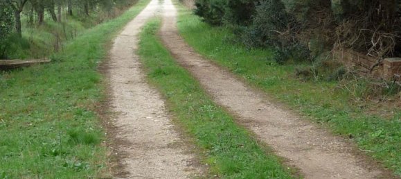 10 rooms House in Grosseto, Italy No. 131101 36