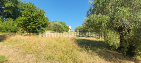 6 bedrooms House in Macerata, Italy No. 310751 16