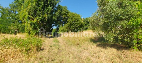 6 bedrooms House in Macerata, Italy No. 310751 18