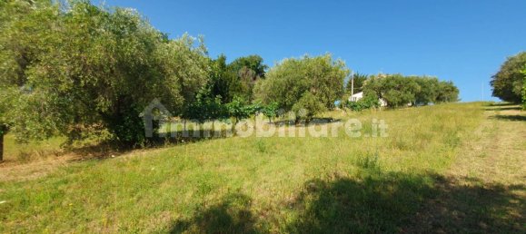 6 bedrooms House in Macerata, Italy No. 310751 12