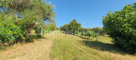 6 bedrooms House in Macerata, Italy No. 310751 13