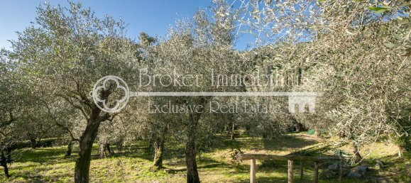 3 غرف نوم فيلا في Massarosa, Italy رقم 143020 35