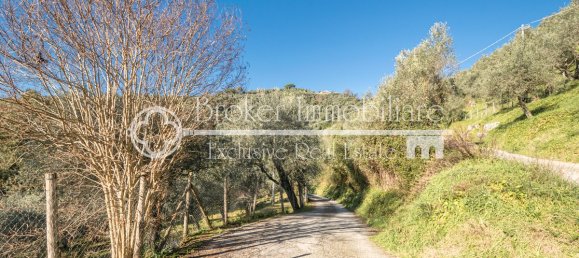 3 غرف نوم فيلا في Massarosa, Italy رقم 143020 34