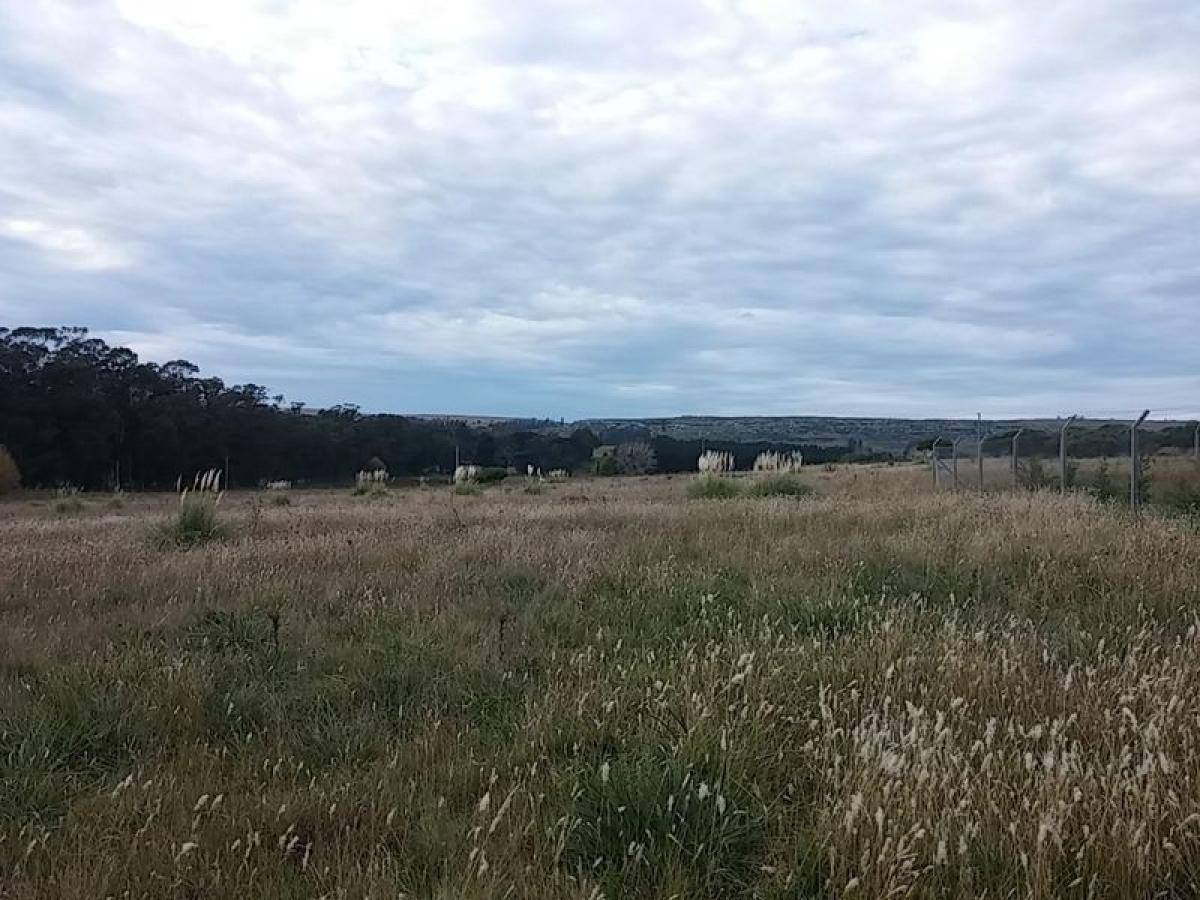  Land in General Pueyrredon, Argentina No. 48767