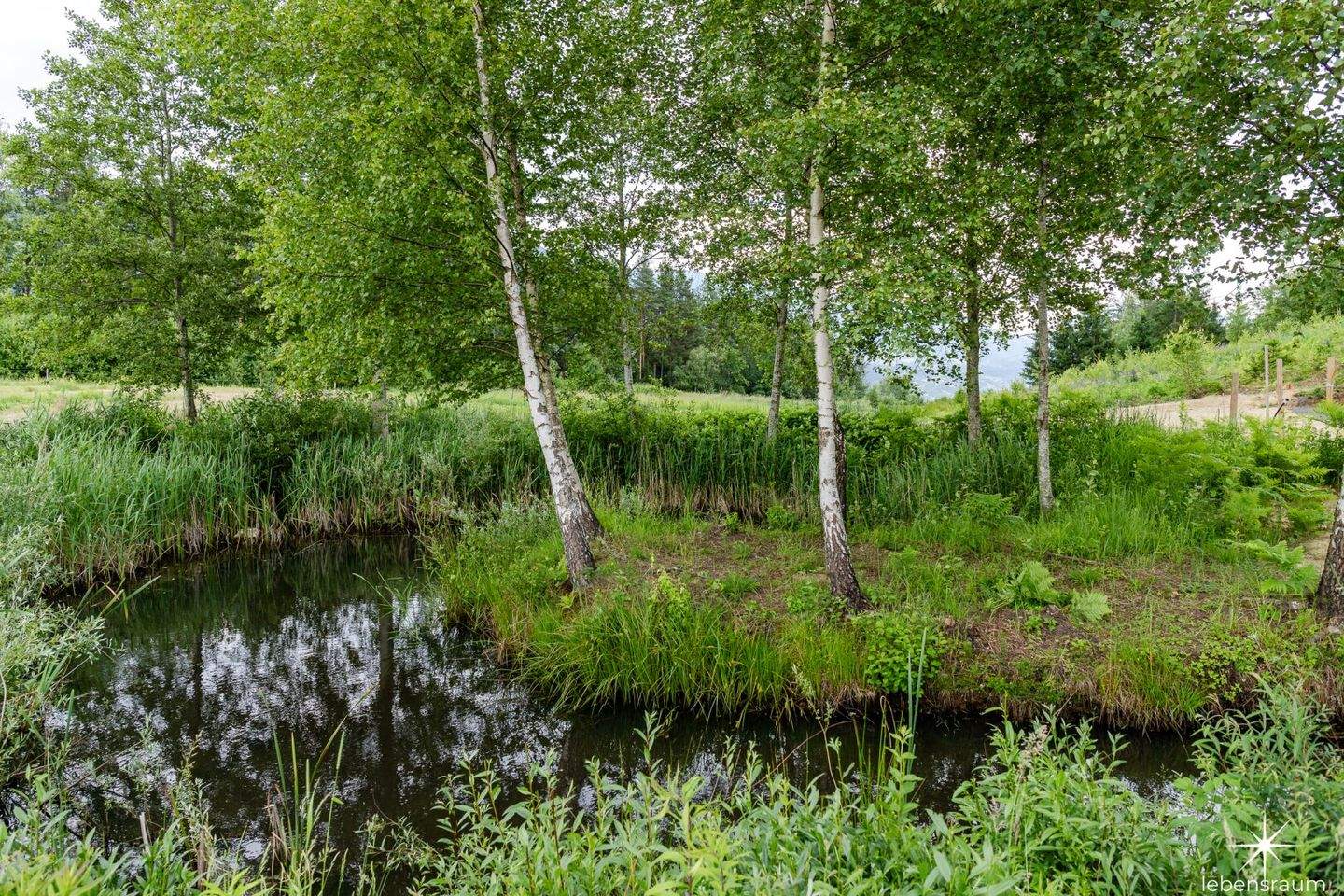  Land in Seeboden am Millstatter See, Austria No. 56470