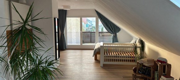 9 bedrooms Townhouse in Mainz-Bingen, Germany No. 267597 12