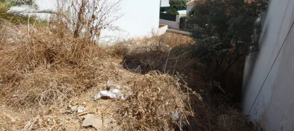 Terreno em Lagoa, Portugal N.º 31991 8