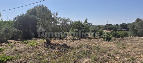 Casa de 1 dormitorio en Ostuni, Italy No. 289576 9