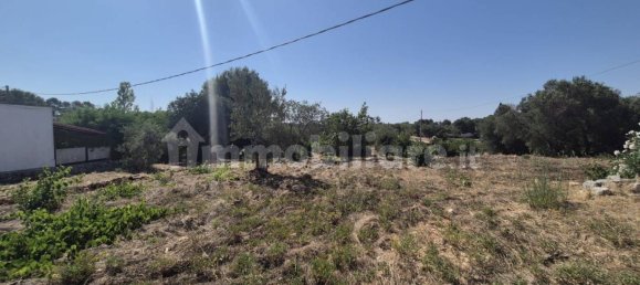 Casa de 1 dormitorio en Ostuni, Italy No. 289576 7