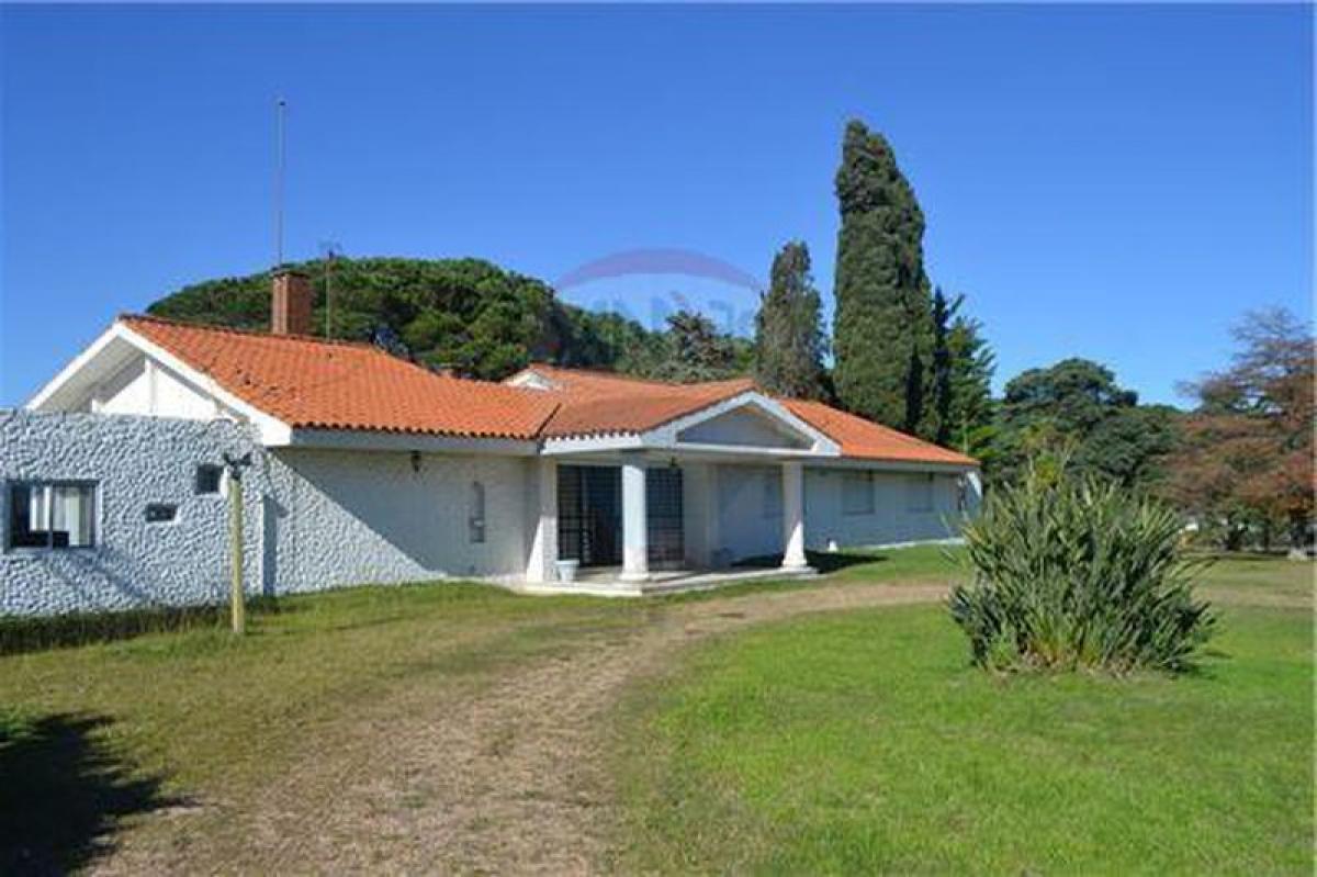 6 bedrooms House in Canelones, Uruguay No. 404