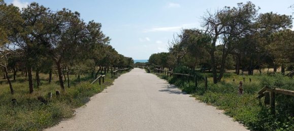 Bungalow T2 em Guardamar del Segura, Spain N.º 178192 23