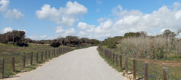 Bungalow T2 em Guardamar del Segura, Spain N.º 178192 25