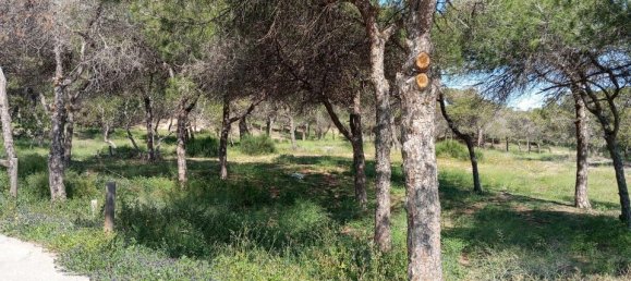 Bungalow T2 em Guardamar del Segura, Spain N.º 178192 26