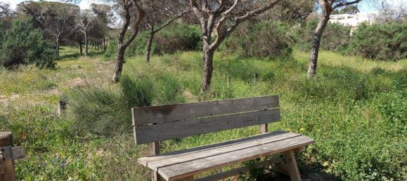 Bungalow T2 em Guardamar del Segura, Spain N.º 178192 22