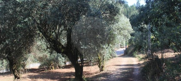 2 Schlafzimmer Haus in Chao de Couce, Portugal, Nr. 20254 22