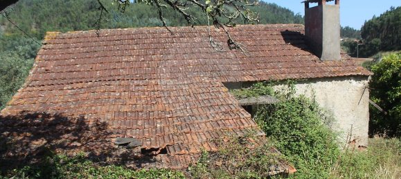 2 Schlafzimmer Haus in Chao de Couce, Portugal, Nr. 20254 2