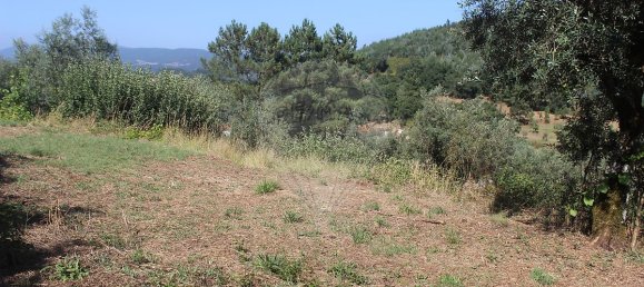 2 Schlafzimmer Haus in Chao de Couce, Portugal, Nr. 20254 27