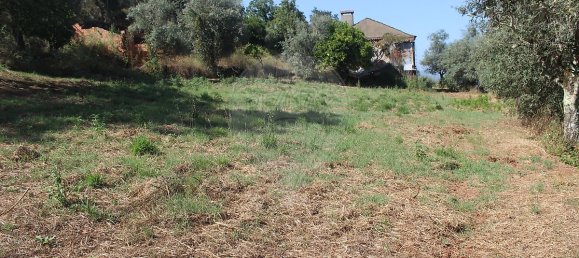 2 Schlafzimmer Haus in Chao de Couce, Portugal, Nr. 20254 20