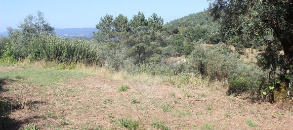 2 Schlafzimmer Haus in Chao de Couce, Portugal, Nr. 20254 17