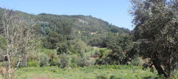 2 Schlafzimmer Haus in Chao de Couce, Portugal, Nr. 20254 25