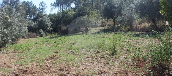 2 Schlafzimmer Haus in Chao de Couce, Portugal, Nr. 20254 23