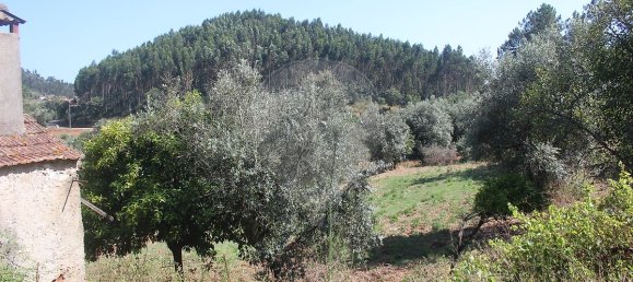 2 Schlafzimmer Haus in Chao de Couce, Portugal, Nr. 20254 8