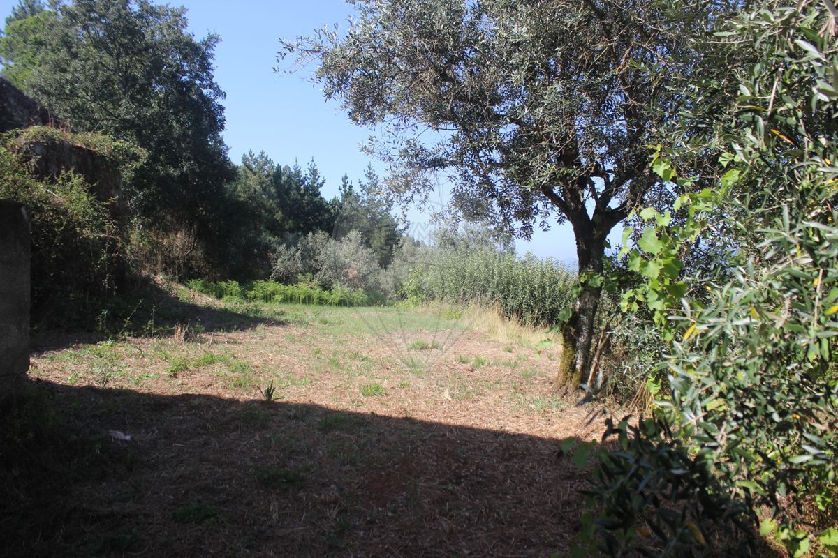 2 Schlafzimmer Haus in Chao de Couce, Portugal, Nr. 20254