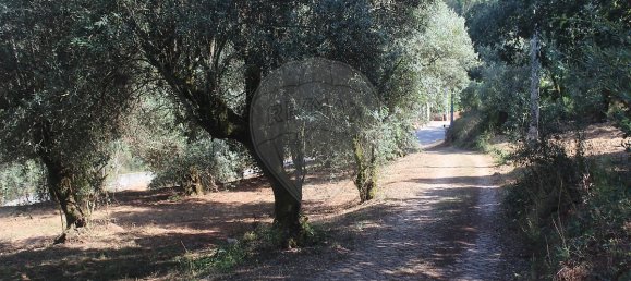 2 Schlafzimmer Haus in Chao de Couce, Portugal, Nr. 20254 21