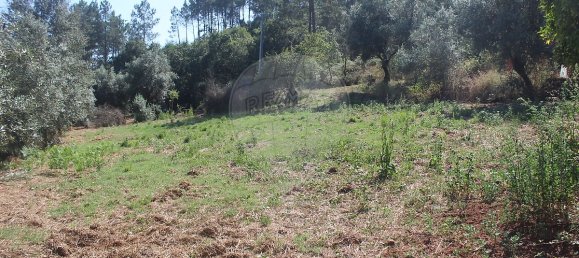 2 Schlafzimmer Haus in Chao de Couce, Portugal, Nr. 20254 15