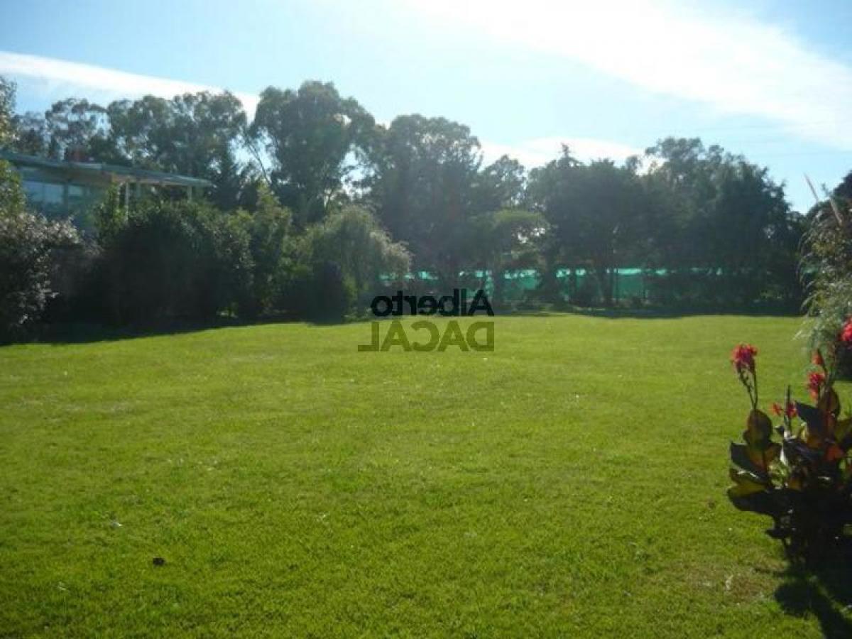 Terreno en Campo Creado, Argentina No. 32209