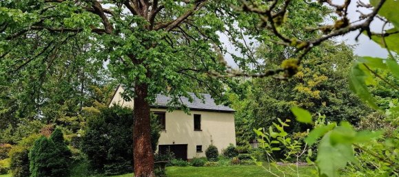 Дом с 3 комнатами в Фогтланд, Германия № 368707 5