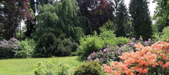 Дом с 3 комнатами в Фогтланд, Германия № 368707 9