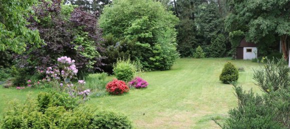 Дом с 3 комнатами в Фогтланд, Германия № 368707 11