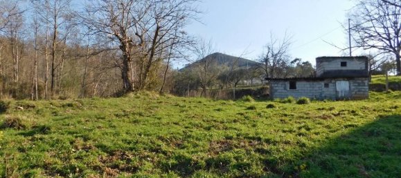 4 rooms House in Papasidero, Italy No. 74210 16