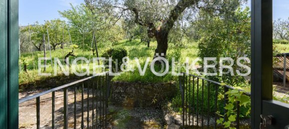 3 bedrooms Hotel in Lamporecchio, Italy No. 132356 7