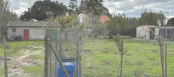 4 bedrooms House in Salvaterra de Magos, Portugal No. 29820 4