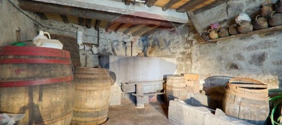 6 bedrooms House in Sernancelhe, Portugal No. 162987 6