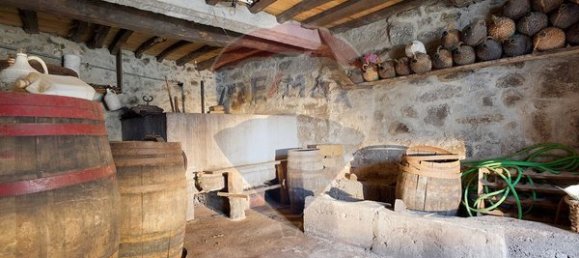 6 bedrooms House in Sernancelhe, Portugal No. 162987 4