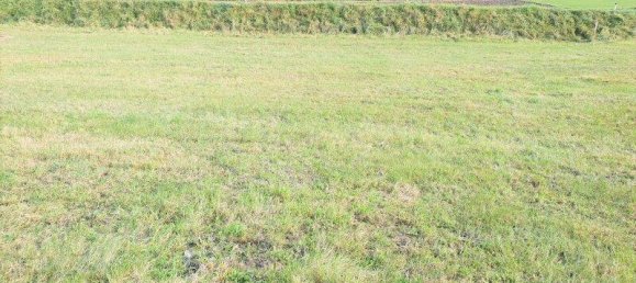  قطعة أرض في Deutschlandsberg, Austria رقم 164727 5