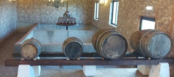 9 غرف نوم منزل في Caldas da Rainha, Portugal رقم 138014 23