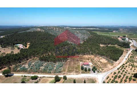  قطعة أرض في Torres Vedras, Portugal رقم 215616