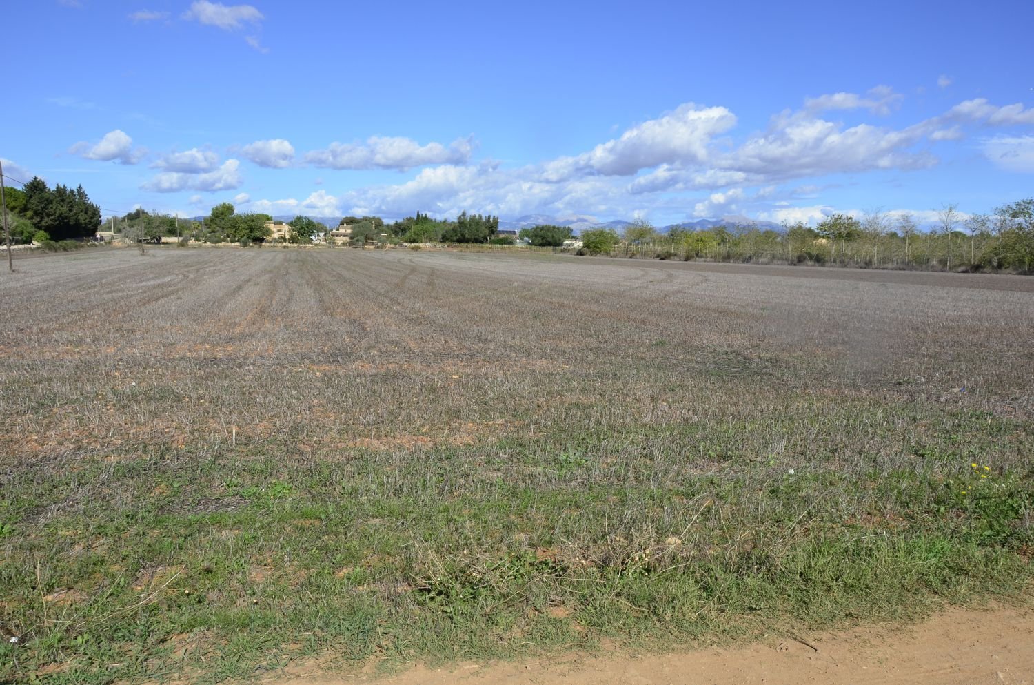 Земельный участок 16000м² в Альгайда, Испания № 158379