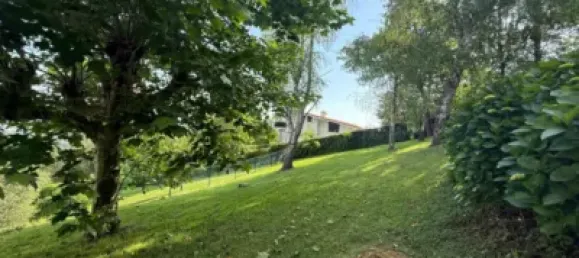 7 bedrooms House in Basque Autonomous Community, Spain No. 145382 16