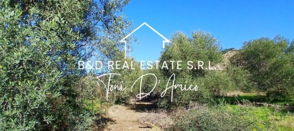  Land in Bagheria, Italy No. 325437 5