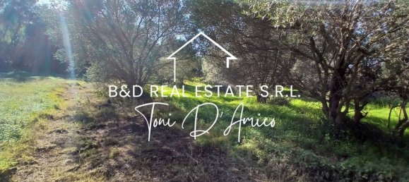  Land in Bagheria, Italy No. 325437 6