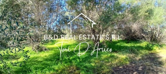  Land in Bagheria, Italy No. 325437 7