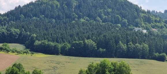 4 rooms House in St. Veit im Muhlkreis, Austria No. 149709 2