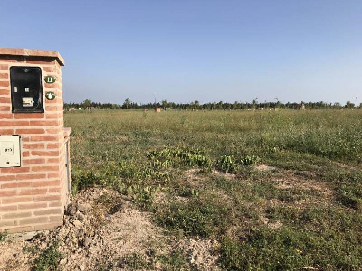 Grundstück in Tigre, Argentina, Nr. 40115