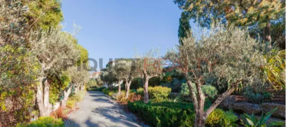 6 chambres Maison à Cascais, Portugal No. 182203 2