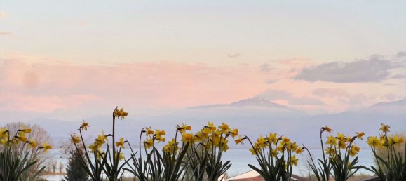 Пентхаус с 2 спальнями в Траунштайн, Германия № 261401 7